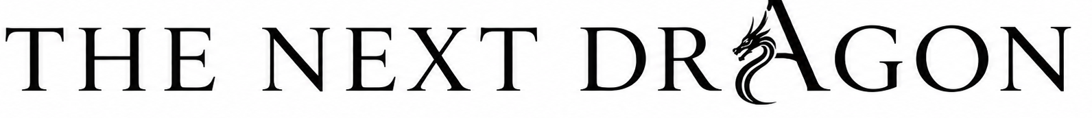 The Next Dragon Clothing & Apparel